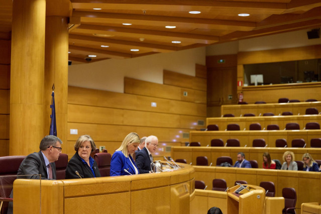 La presidenta del Tribunal de Cuentas, Enriqueta Chicano (2i), comparece en la Comisión de Investigación sobre los contratos públicos realizados durante la pandemia de covid-19, en el Senado, a 29 de abril de 2024, en Madrid (España). Chicano ha compareci