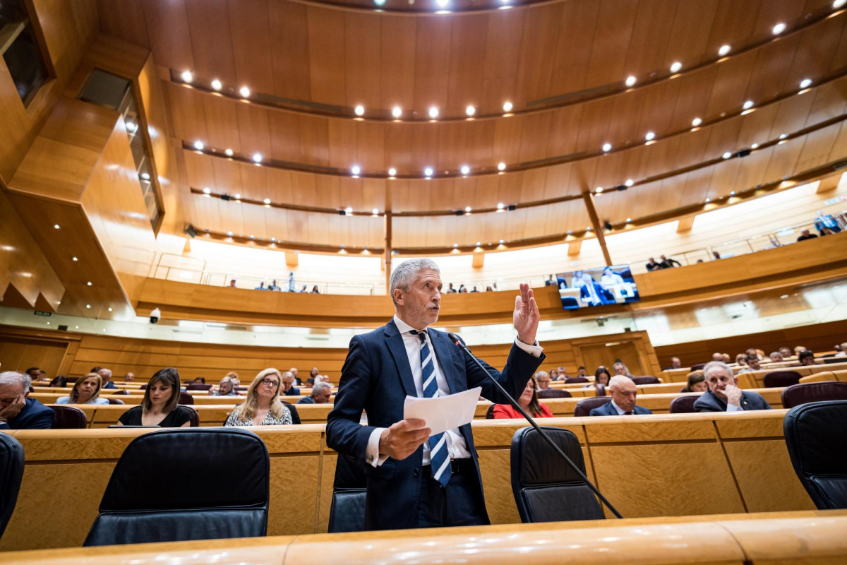 El ministro del Interior, Fernando Grande-Marlaska, interviene durante una sesión de control en el Senado