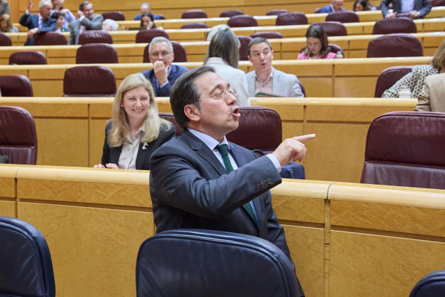 El ministro de Asuntos Exteriores, Unión Europea y Cooperación, José Manuel Albares, interviene durante una sesión de Control en el Senado