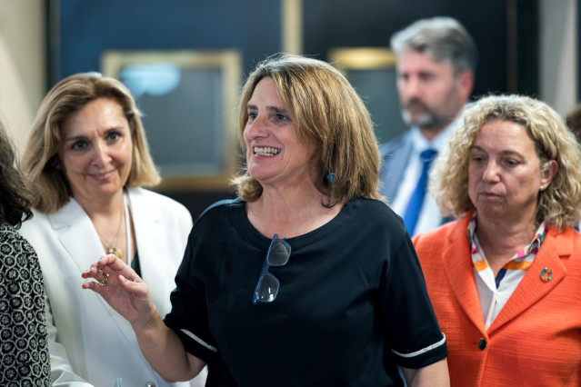 La vicepresidenta tercera y ministra para la Transición Ecológica y el Reto Demográfico y candidata del PSOE a las elecciones europeas, Teresa Ribera