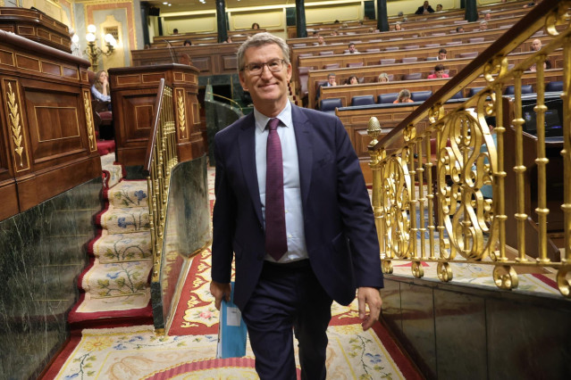 El líder del PP, Alberto Núñez Feijóo, durante la sesión de control al Gobierno, en el Congreso de los Diputados, a 29 de mayo de 2024, en Madrid (España). Durante la sesión de control, la última antes de las elecciones europeas del próximo 9 de junio, el