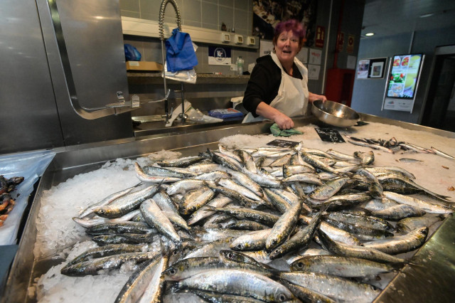 Archivo - Sardinas en las pescaderías de la Praza de Lugo.