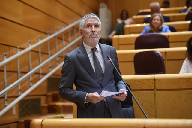 El ministro del Interior, Fernando Grande-Marlaska, durante una sesión de control al Gobierno en el Senado