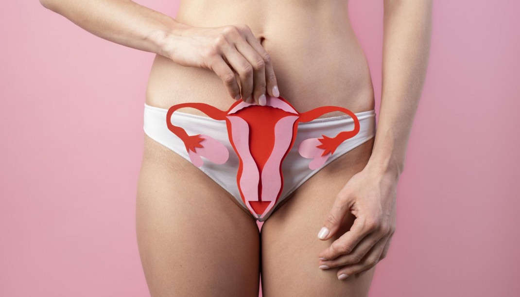 Paper ovary held by woman near her reproductive system