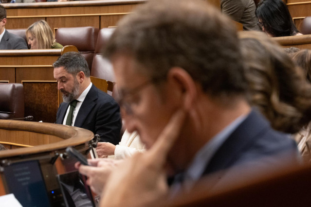 Archivo - El líder del PP, Alberto Núñez Feijóo, y el líder de Vox, Santiago Abascal, durante un pleno en el Congreso de los Diputados