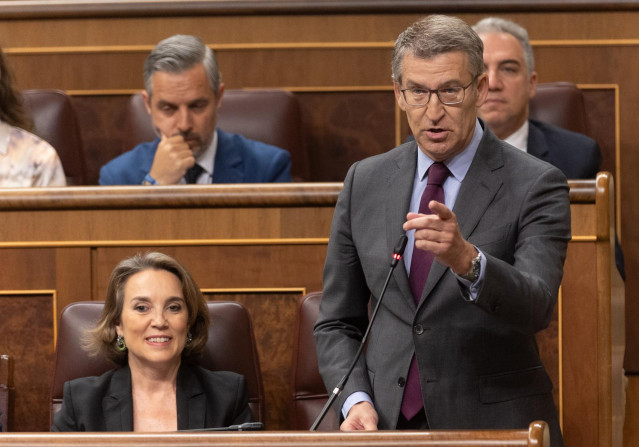 El presidente del PP, Alberto Núñez Feijóo, interviene durante una sesión de control al Gobierno, en el Congreso de los Diputados, a 19 de junio de 2024, en Madrid (España). El presidente del Gobierno, Pedro Sánchez, responde ante el Pleno del Congreso a