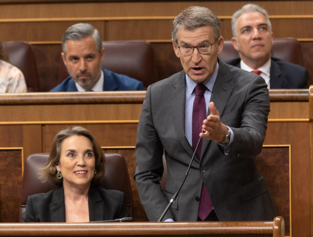 El presidente del PP, Alberto Núñez Feijóo, interviene durante una sesión de control al Gobierno, en el Congreso de los Diputados, a 19 de junio de 2024, en Madrid (España). El presidente del Gobierno, Pedro Sánchez, responde ante el Pleno del Congreso a