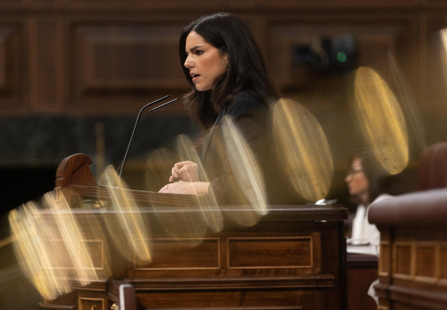 La portavoz de Vox en el Congreso, Pepa Millán, interviene en una sesión plenaria en el Congreso
