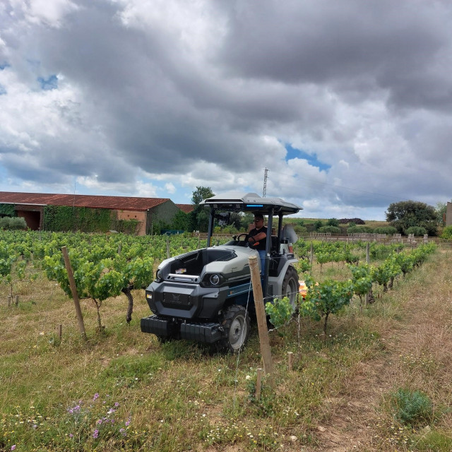 Tractor eléctrico y autónomo de Monarch en los viñedos de Familia Torres.