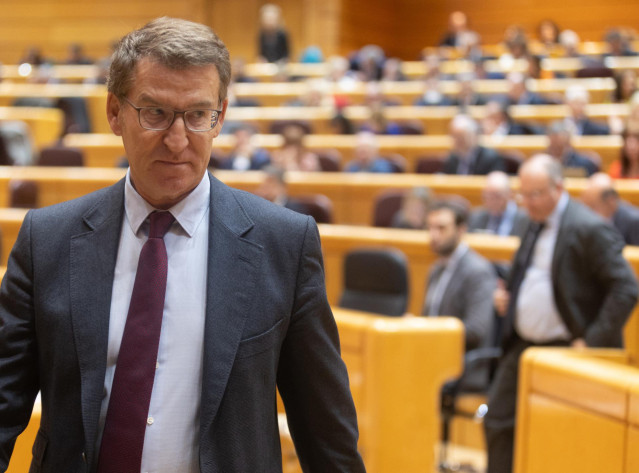 Archivo - El líder del PP, Alberto Núñez Feijóo, durante un pleno del Congreso de los Diputados, en el Palacio del Senado, a 10 de enero de 2024, en Madrid (España).