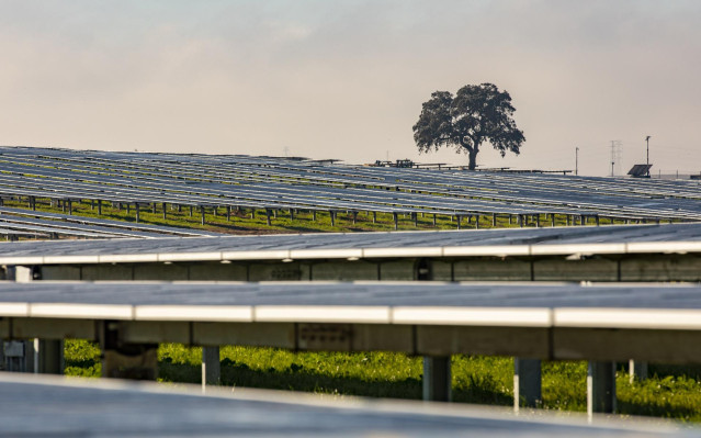 Archivo - Una de las plantas de Alter Enersun en Huelva capital.