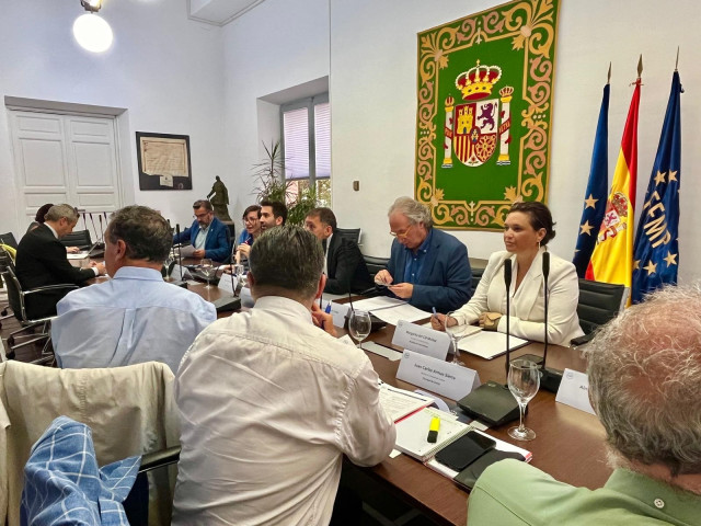 Margarita del Cid, ha pedido en la FEMP que el problema de acceso a la vivienda 