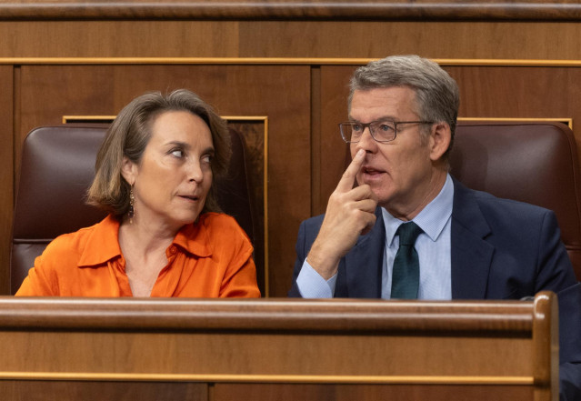 La secretaria general del PP, Cuca Gamarra y el presidente del PP, Alberto Núñez Feijóo, durante una sesión de control al Gobierno, en el Congreso de los Diputados, a 26 de junio de 2024, en Madrid (España).  La financiación singular para Cataluña protago