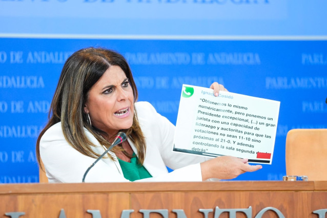 La portavoz del grupo parlamentario del PSOE andaluz, Ángeles Ferriz, en la rueda de prensa ofrecida el 3 de julio de 2024.