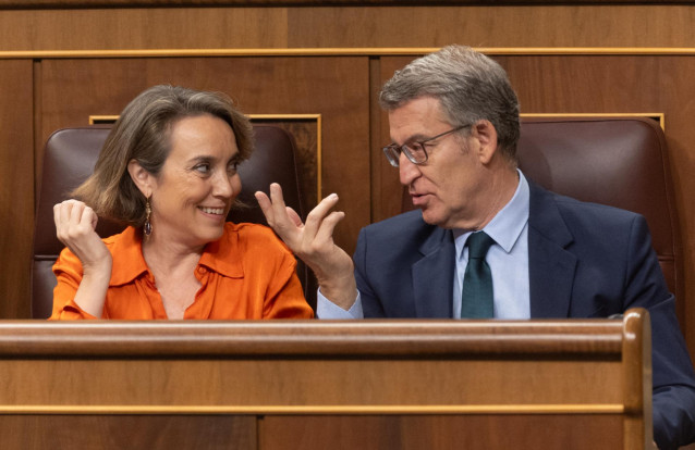 La secretaria general del PP, Cuca Gamarra y el presidente del PP, Alberto Núñez Feijóo, durante una sesión de control al Gobierno, en el Congreso de los Diputados, a 26 de junio de 2024, en Madrid (España).