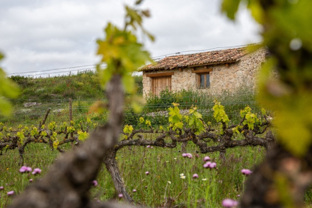 Finca ecológica de Familia Fernández Rivera