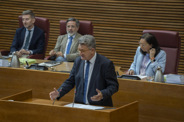 El conseller de Medi Ambiente, Vicente Martínez Mus.