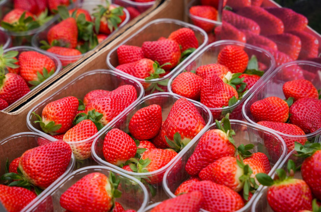 Archivo - Fresas de Huelva.