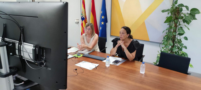 Aragón ha participado vía videoconferencia en la Conferencia Sectorial de la Inmigración este lunes.