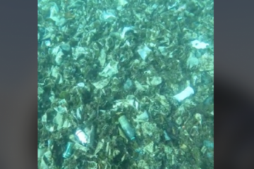 Capturadepantalla20240805161013