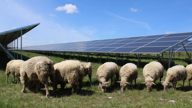 BayWa convierte antiguos terrenos militares en Francia en un 'hub' de energía solar de 136 MW