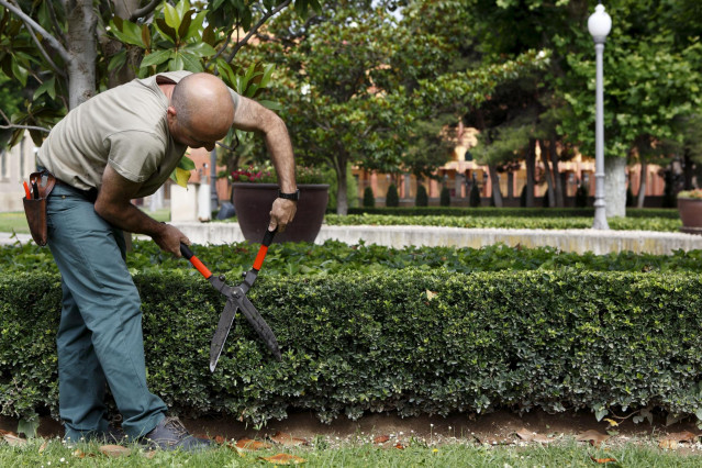 Archivo - Foto de archivo de una persona trabajadora prestando servicios de jardinería.