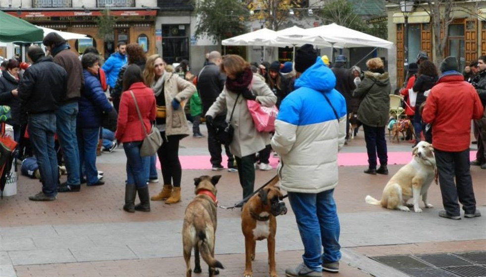 Fotonoticia 20160116143142 980