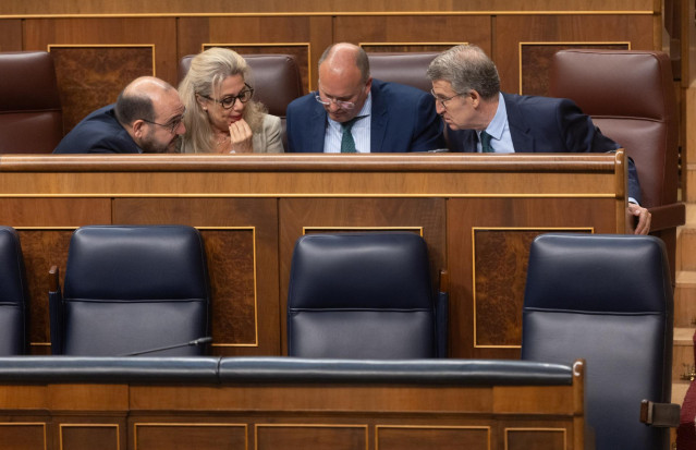 Archivo - Diputados del PP; el portavoz del PP en el Congreso, Miguel Tellado y el presidente del PP, Alberto Núñez Feijóo, durante una sesión de control al Gobierno, en el Congreso de los Diputados, a 26 de junio de 2024, en Madrid (España).