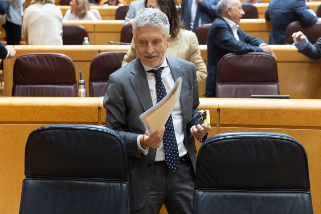 El ministro del Interior, Fernando Grande Marlaska, durante una sesión plenaria en el Senado
