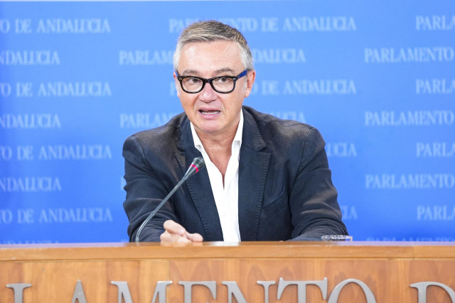El portavoz del Grupo Parlamentario Vox, Manuel Gavira