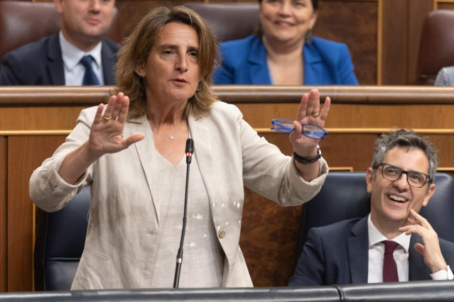 Archivo - La vicepresidenta tercera y ministra para la Transición Ecológica, Teresa Ribera, interviene durante una sesión de control al Gobierno, en el Congreso de los Diputados, a 26 de junio de 2024, en Madrid (España)