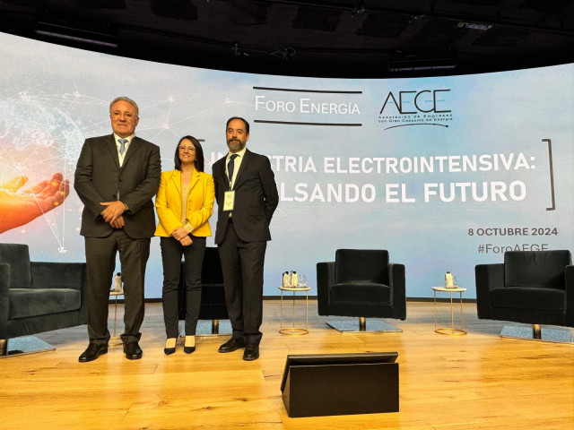 Presidente AEGE, Secretaria de Estado de Industria y Director General de AEGE.