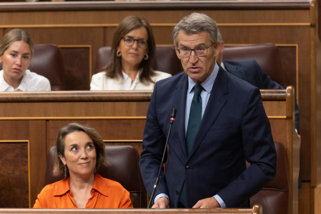 Archivo - El presidente del PP, Alberto Núñez Feijóo, interviene durante una sesión de control al Gobierno, en el Congreso de los Diputados, a 26 de junio de 2024, en Madrid (España).
