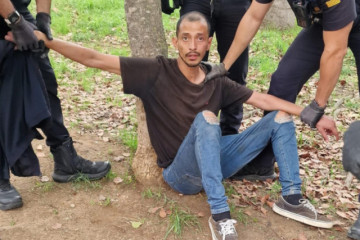 Catalunyapressdetingutagress