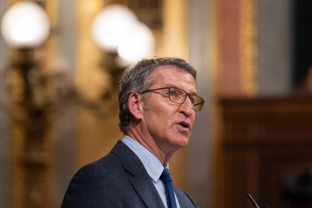 El presidente del Partido Popular, Alberto Núñez Feijóo, interviene durante una sesión plenaria, en el Congreso de los Diputados, a 10 de octubre de 2024, en Madrid (España)