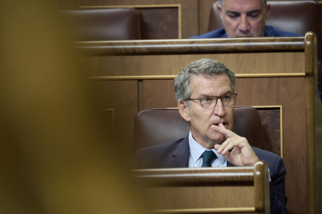 El diputado del PP, Alberto Núñez Feijóo, durante una sesión de control al Gobierno, en el Congreso de los Diputados, a 9 de octubre de 2024, en Madrid (España).