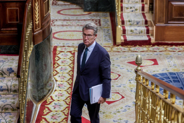 El presidente del PP, Alberto Núñez Feijóo, durante una sesión de control al Gobierno, en el Congreso de los Diputados, a 9 de octubre de 2024, en Madrid (España).