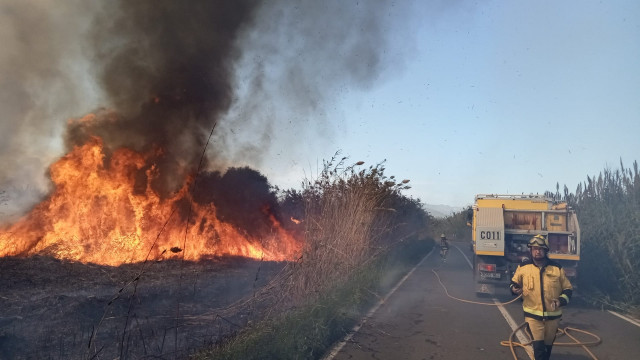 Incendio en s'Albufera.