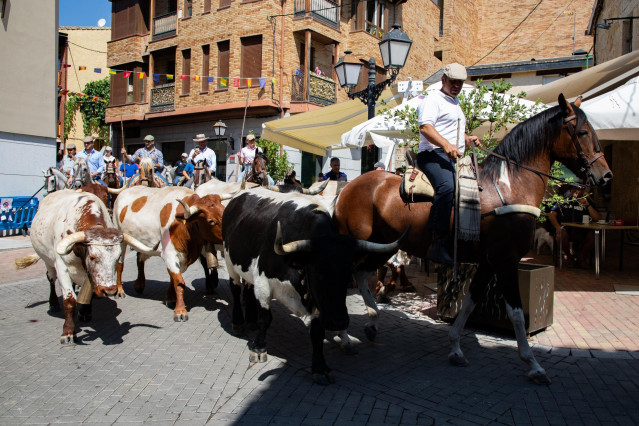 Archivo - Un rebaño trashumante bovino durante la Fiesta de la Fiesta de la Trashumancia, a 4 de agosto de 2024, en Manzanares El Real, Madrid (España).