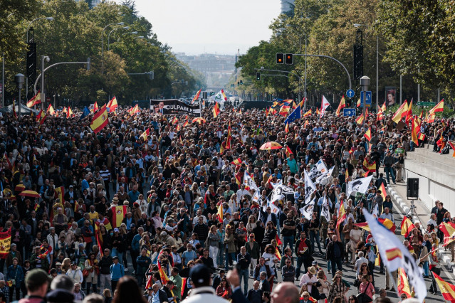 Miles de personas durante una concentración para pedir elecciones generales, en la Plaza de Castilla. La protesta está convocada por la Plataforma por la España Constitucional, constituida por un centenar de asociaciones cívicas