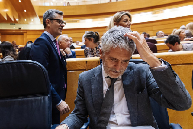 El ministro del Interior, Fernando Grande-Marlaska, durante una sesión plenaria, en el Senado, a 22 de octubre de 2024, en Madrid (España)