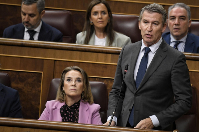 El presidente del PP, Alberto Núñez Feijóo, interviene durante una sesión de control al Gobierno, en el Congreso de los Diputados, a 16 de octubre de 2024, en Madrid (España).