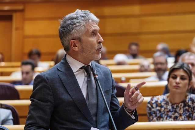 El ministro del Interior, Fernando Grande-Marlaska, interviene durante una sesión plenaria, en el Senado, a 22 de octubre de 2024, en Madrid (España).