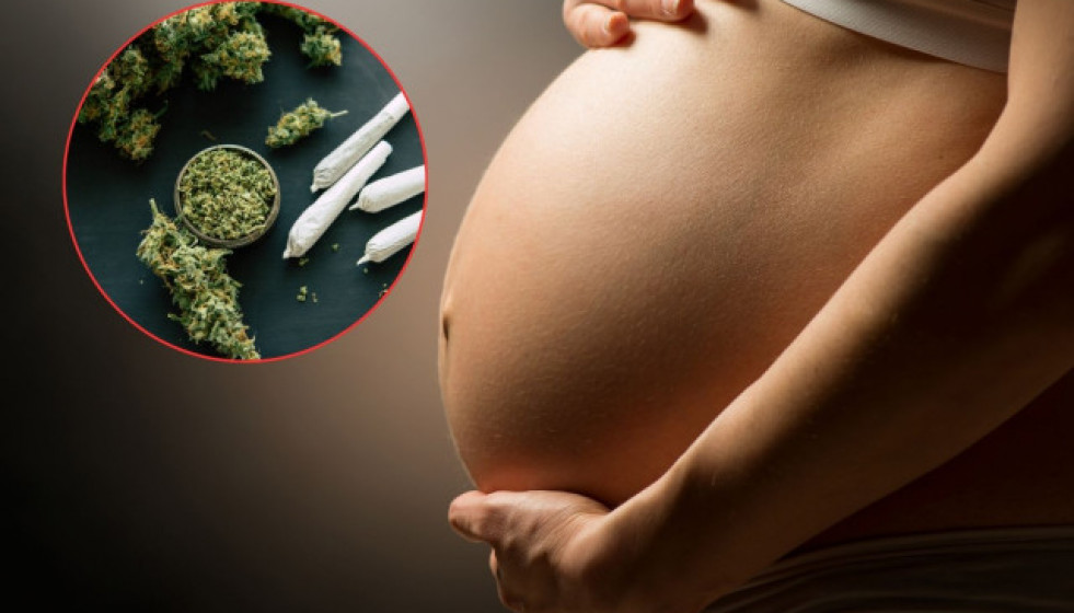 Cannabis 1
