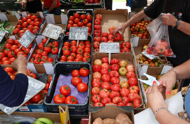 Archivo - Cajas de tomates en un mercado de la Comunidad de Madrid
