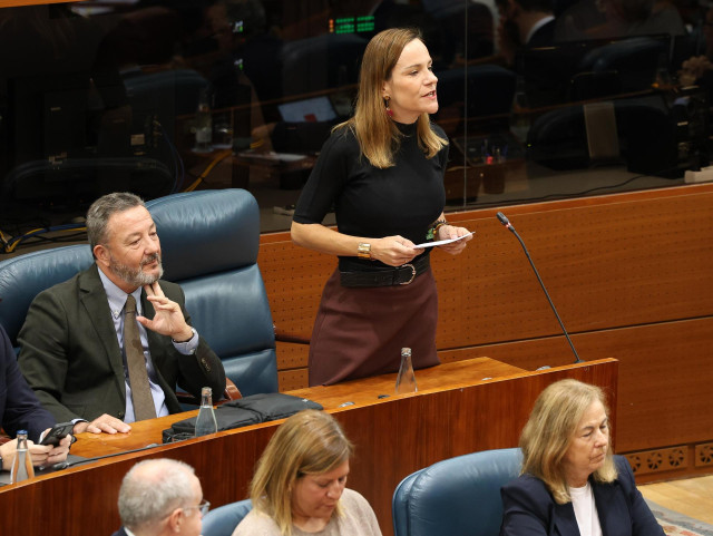 La portavoz de VOX en la Asamblea de Madrid, Isabel Pérez Moñino-Aranda.