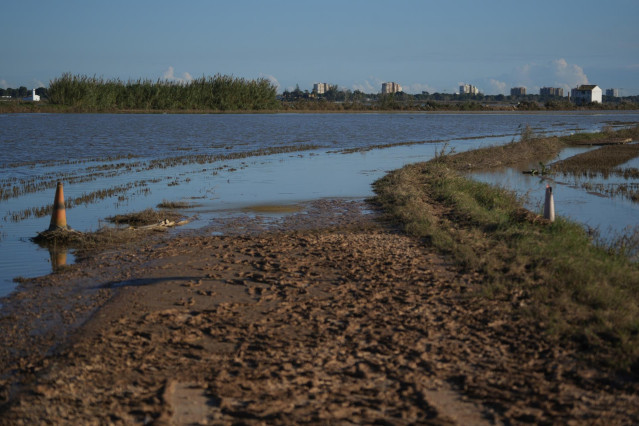 La Albufera en el día 13 tras el paso de la DANA por Valencia, a 11 de noviembre de 2024, en Valencia.