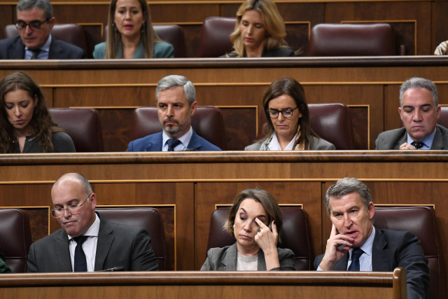 El portavoz del grupo parlamentario popular en el congreso, Miguel Tellado, la secretaria general del PP, Cuca Gamarra y el presidente del PP, Alberto Núñez Feijóo, durante el Pleno del Congreso, a 13 de noviembre de 2024, en Madrid (España).