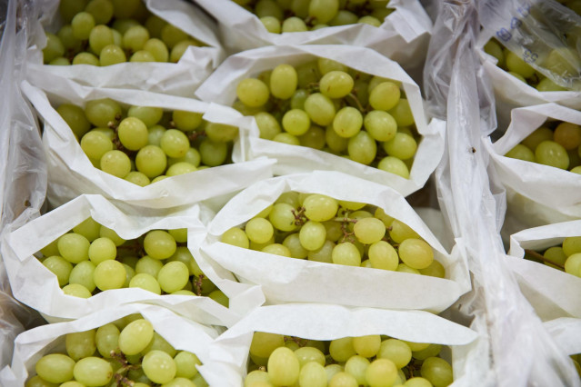 Archivo - Racimos de uvas en un expositor de una frutería en un mercado,