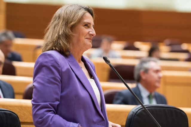 Archivo - La vicepresidenta tercera y ministra para la Transición Ecológica y el Reto Demográfico, Teresa Ribera, interviene durante una sesión de control, en el Senado, a 14 de mayo de 2024, en Madrid (España).  La Ley de Amnistía da hoy su último paso e